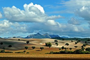 Andalusian-landscape.jpg
