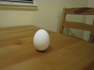 egg1.jpg