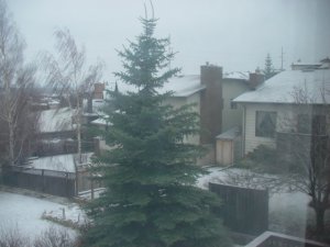 窗外14号下雪了.JPG