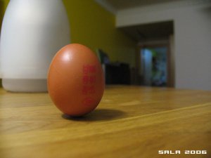 egg 003s.JPG