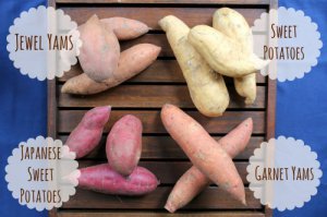 yams-sweet-potatoes-is-there-a-difference-2.jpg