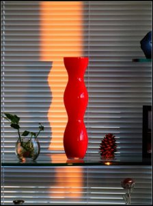 夕阳中的花瓶.jpg