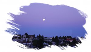 Moon in the morning1.jpg