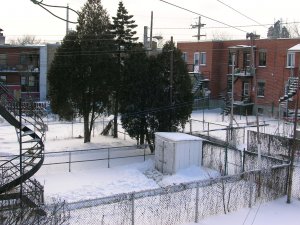 2007年的第一场雪 004.jpg