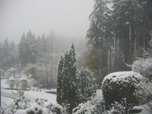 First snow outside our windou 004.jpg