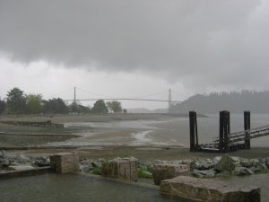 5月20日大雨滂沱 087.jpg