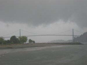 5月20日大雨滂沱 090.jpg