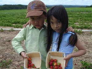 草莓两小孩.jpg