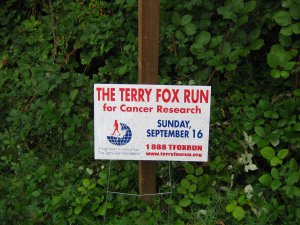 terry fox run1 002.jpg