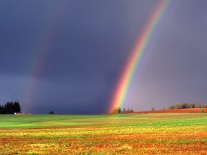 Double_Rainbow_Marion_County_Oregon_RMsqn4UR9RcW.jpg