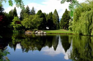 Lake View in VanDusen Botanical Garden.jpg