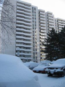 本楼后面雪景--雪景漂亮,可室外车位铲雪的人却愁了.JPG