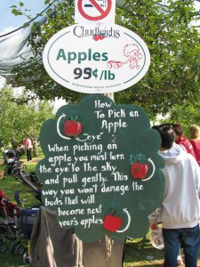 how to pick apple-采苹果的方法.jpg