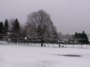 雪景二.jpg