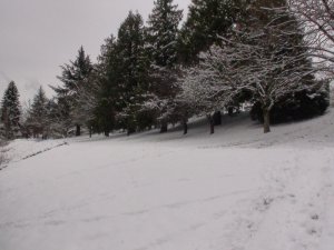 雪景三.jpg