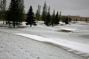 2009年的秋天第一场雪4.JPG